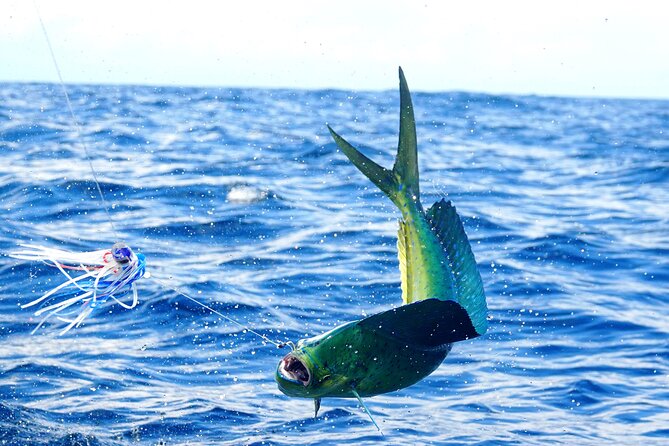 1/2 Day 5 Hour Offshore Fishing Charter - Weather, sea conditions, and the risk of a slow day
