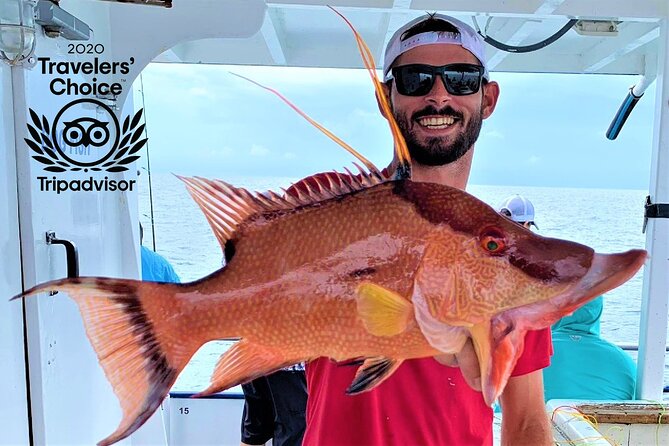 10 Hour Fishing Experience from John's Pass in Madeira Beach - What a full day offshore gives you