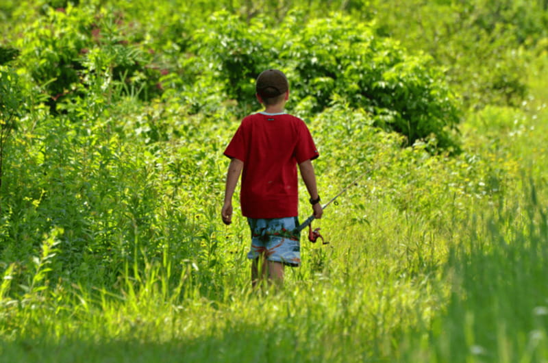 15 min. Tadoussac : Trout Fishing Experience - The 10-minute walk to the fishing pond
