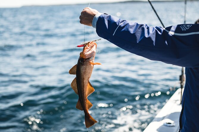 2 Hour Fishing Experience in Halifax - Who will enjoy this Halifax fishing trip?