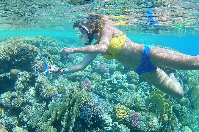 24 Hours Private Boat Snorkeling sea trip and Fishing With equipment - Hurghada - Leaving Hurghada at 8:00 a.m.