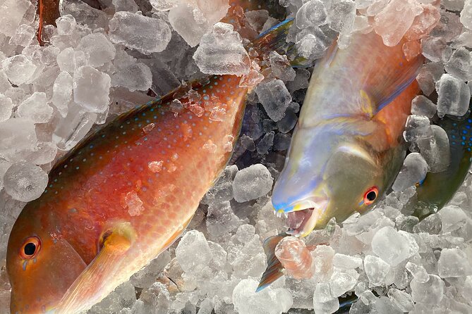 3/4 Day 7 Hour Offshore Fishing Charter - Weather, cancellations, and practical planning