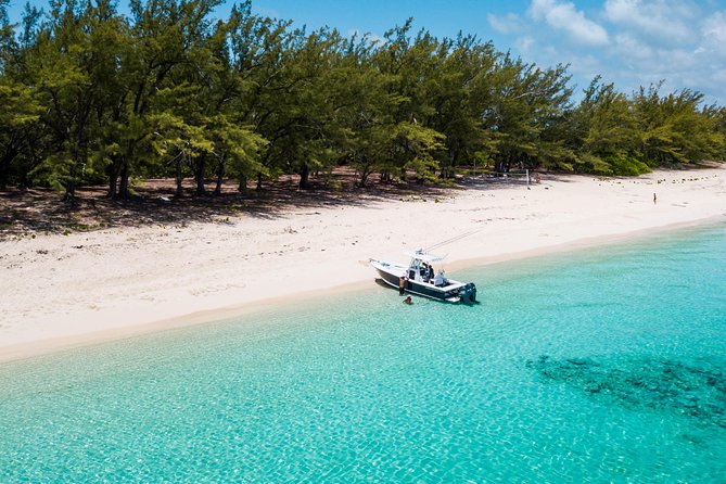 3/4 day deep sea /light tackle fishing - A private charter that works best with four people