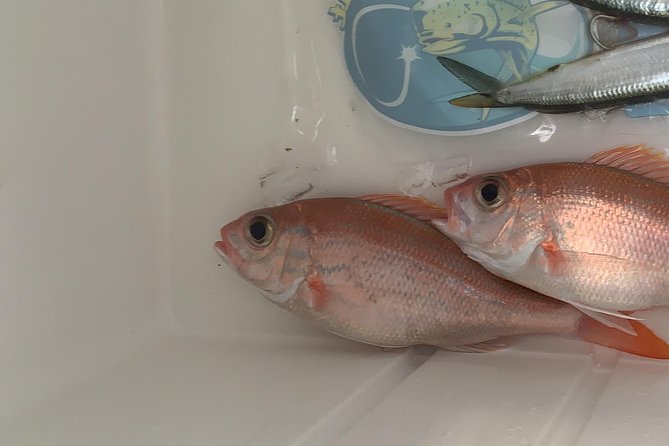3/4 day deep sea /light tackle fishing - Weather and cancellation details that matter