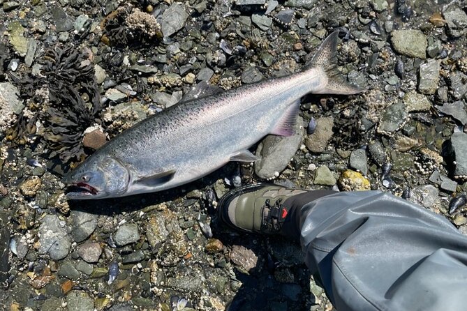 3 Hour Fishing Experience/Class in Juneau - Guides: patient, local, and practical