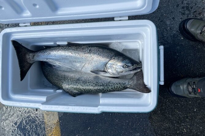 3 Hour Fishing Experience/Class in Juneau - Rain, wind, and the cancellation question