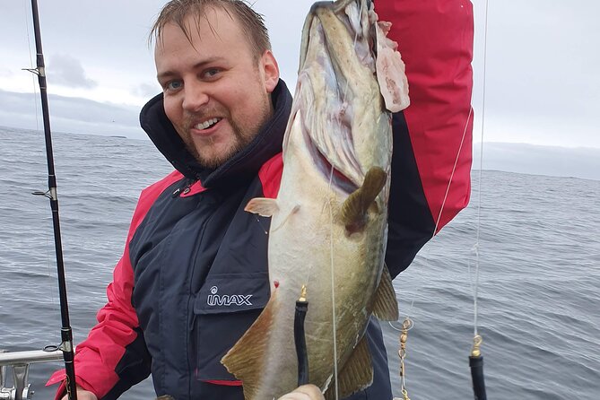 3 Hour Fishing or Sightseeing Charter - What fishing can be like in three hours