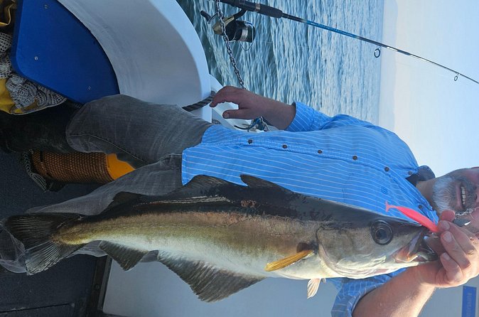 3 Hour Fishing or Sightseeing Charter - Is $478.88 good value for eight people?