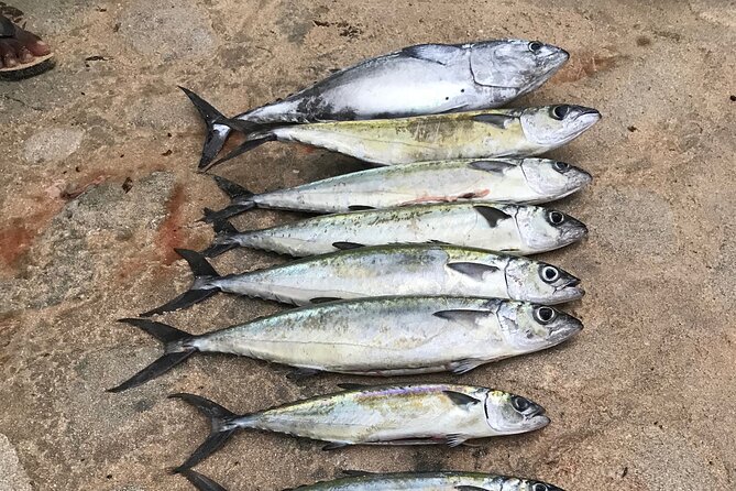 3-Hour Fishing Trip in Waikiki - Key things to know before you go