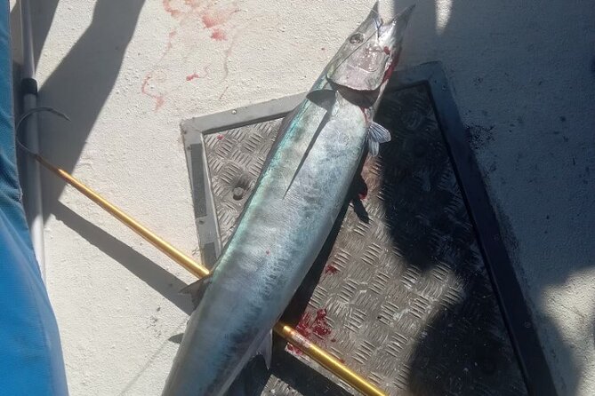 3-Hour Fishing Trip in Waikiki - What the crew adds to the experience