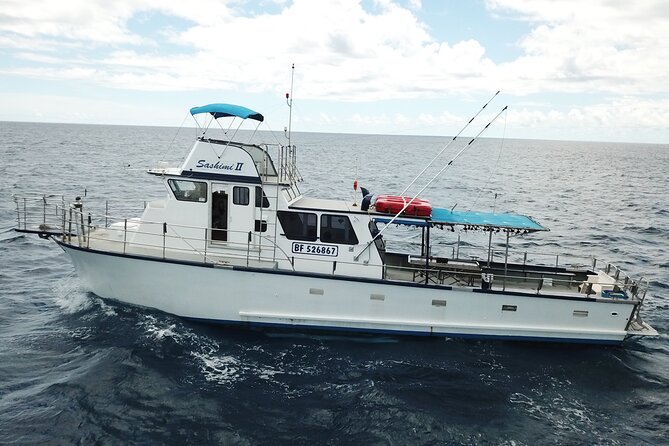 3-Hour Honolulu Bottom Fishing Adventure - Setting Out From Kewalo Basin Harbor at 11 a.m.