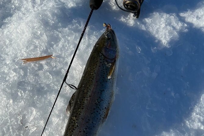3 Hour Ice Fishing Experience - Fish species range from rainbow trout to burbot