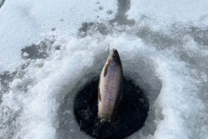 3 Hour Ice Fishing Experience - Cooking your catch adds a memorable Alaska touch