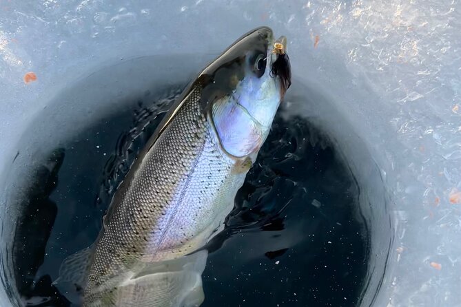 3 Hour Ice Fishing Experience - Timing, weather, and the fine print