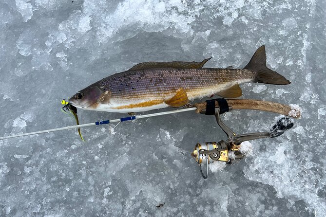 3 Hour Ice Fishing Experience - Jake brings patience, instruction, and local advice
