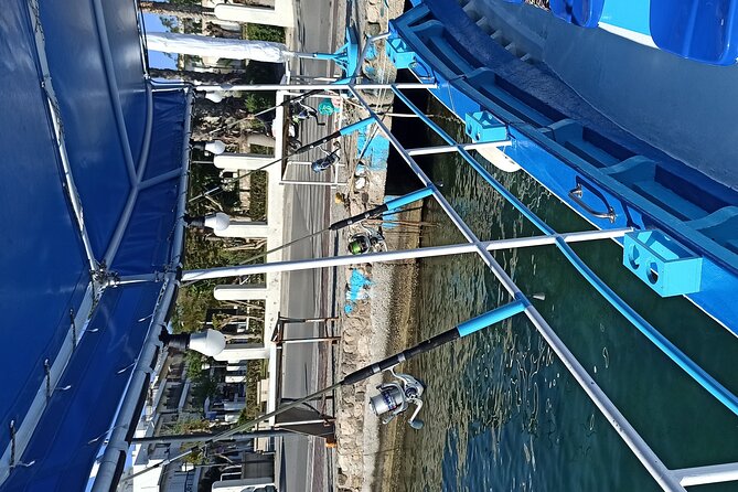 3-Hour Kos Island Fishing Trip with Greek Family - What you can expect to catch