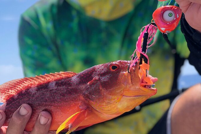 4 Hour Ariki Fishing Activity in Moorea - Reading Moorea’s ocean from the boat