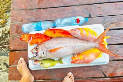 4 Hour Ariki Fishing Activity in Moorea