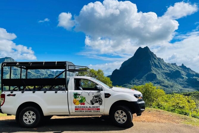 4 Hour Ariki Fishing Activity in Moorea - What is included during the four hours