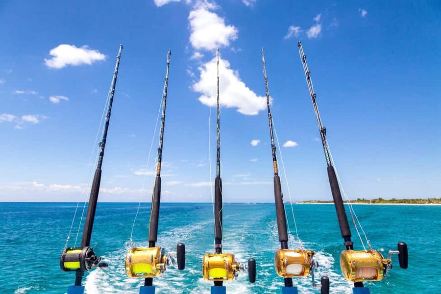 4 hour deep sea fishing experience from punta cana - Key points before you book