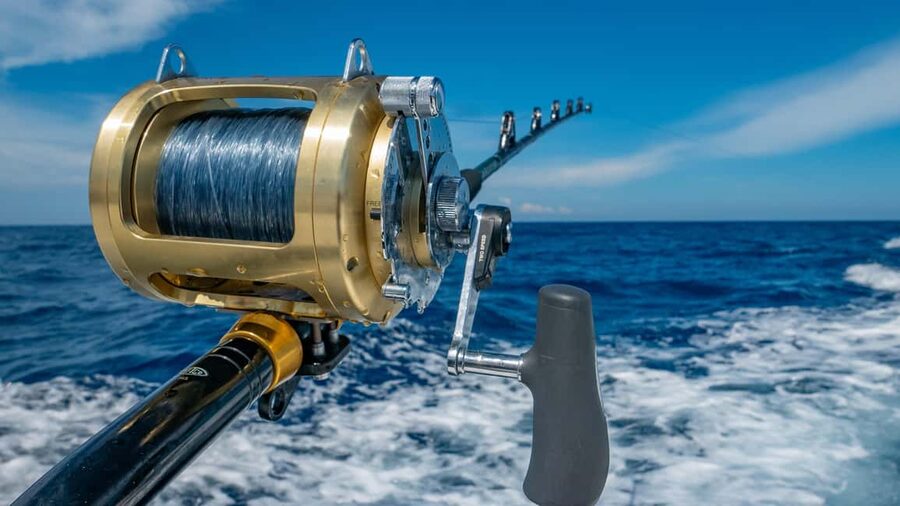4 hour deep sea fishing experience from punta cana - What kind of fishing trip is this?