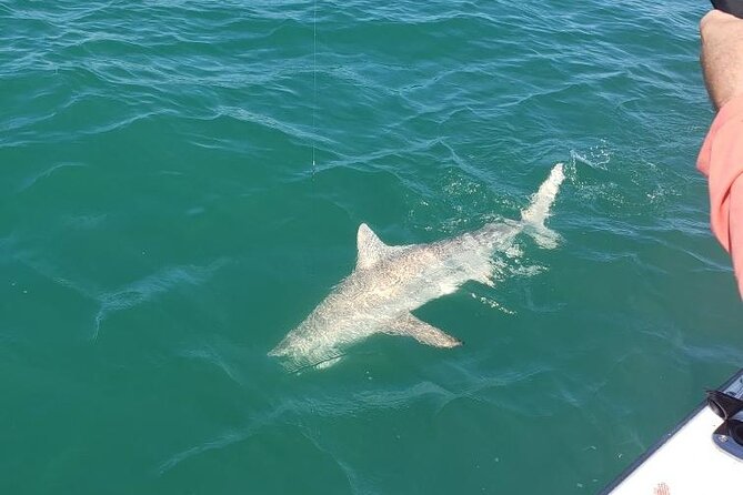 4-hour Fishing Adventure at Belleair Causeway - Four hours of fishing time