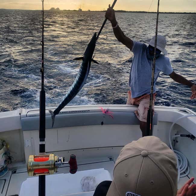 4 hour Fishing or Snorkeling - Light tackle fishing for families