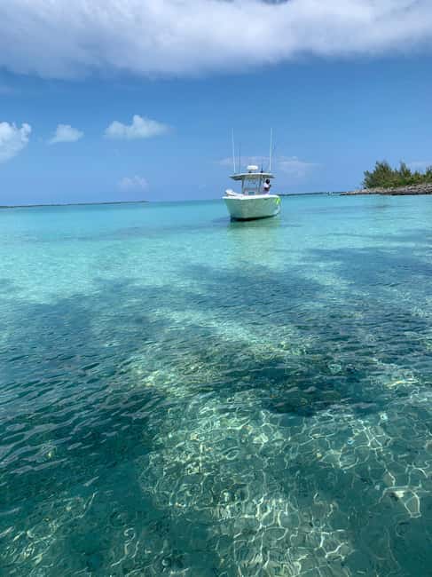 4 hour Fishing or Snorkeling - The Nassau Yacht Haven Marina meeting point