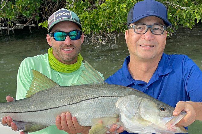 4-Hour Private Inshore Fishing Trip in Sarasota - The fish you may target