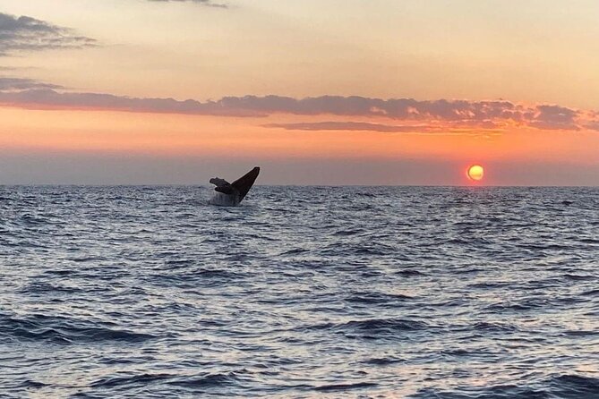4 Hour Private Sunset Fishing Charter - Physical demands and who should book