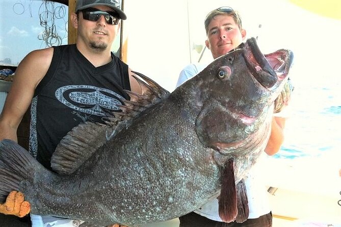 4-Hour Shared Big Game Deep Sea Fishing Charter in Fort Lauderdale - The fish are exciting, but the catch is never guaranteed