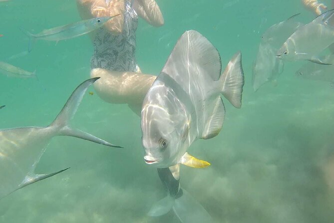 4H Snorkeling and Fishing Cruise on Magnetic Island - What this Magnetic Island cruise is really like