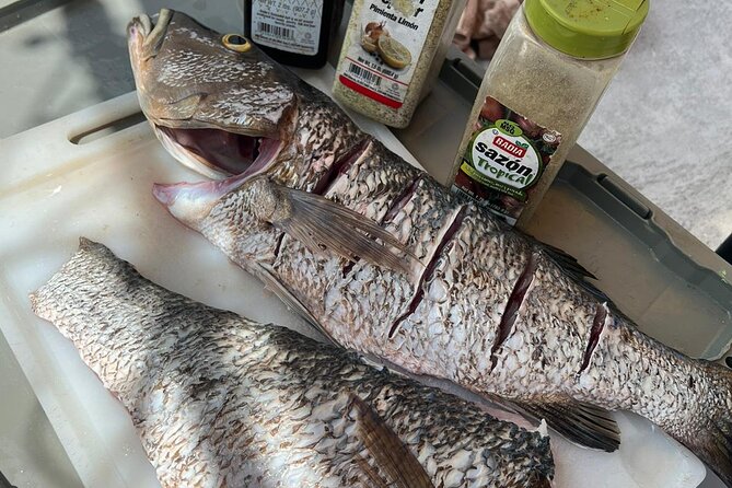 4HR-Halfday Private Fishing Tour in Gracebay - The boat reliability question