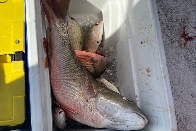 4HR-Halfday Private Fishing Tour in Gracebay - Who should book this fishing charter