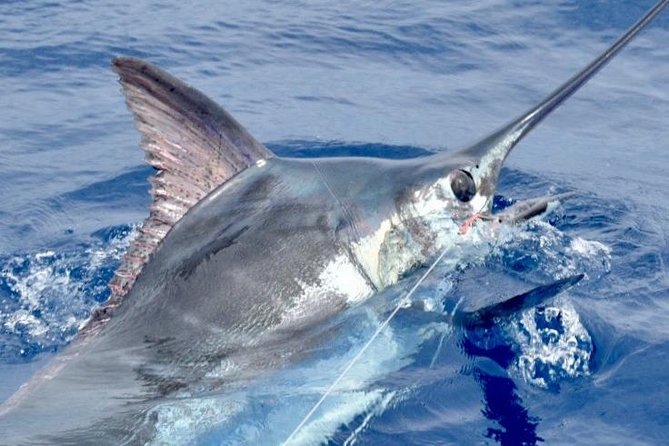 6 Hour Fishing Charter - Setting out from Kealakehe Parkway at 6:30 am