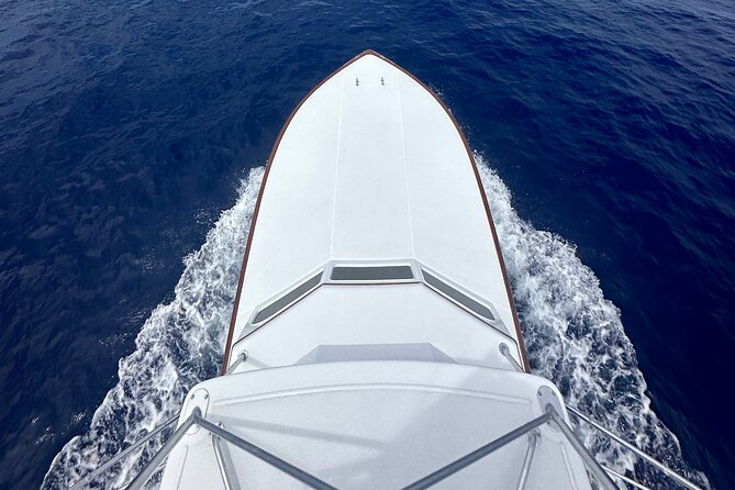 6 Hour Fishing Charter - The crew earns praise when the action starts