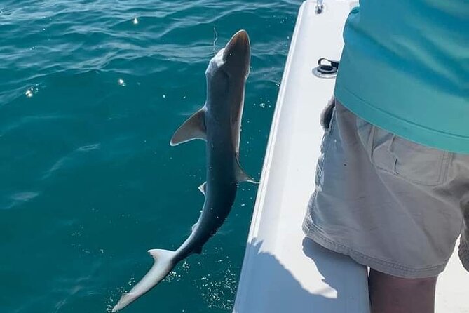 6 Hour Private Fishing Tour in Sarasota with Master Captain Bill - Fishing Sarasota Bay and Anna Maria Island