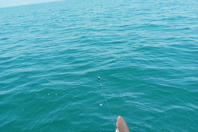 6 Hour Private Fishing Tour in Sarasota with Master Captain Bill - The Sunshine Skyway Bridge stop