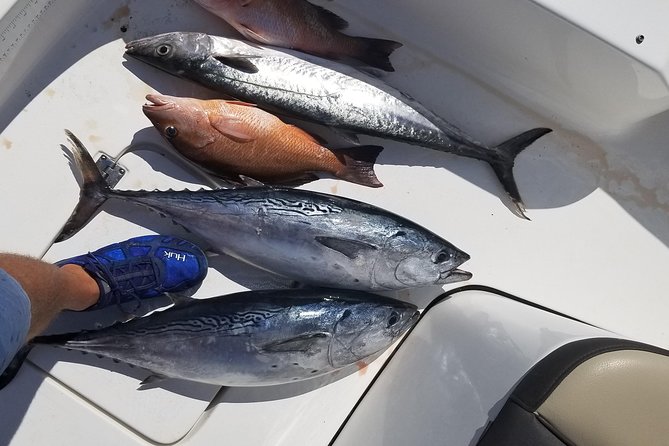 6HR Fishing Charter - Starting at Belleair Causeway Boat Ramp at 8:00 am