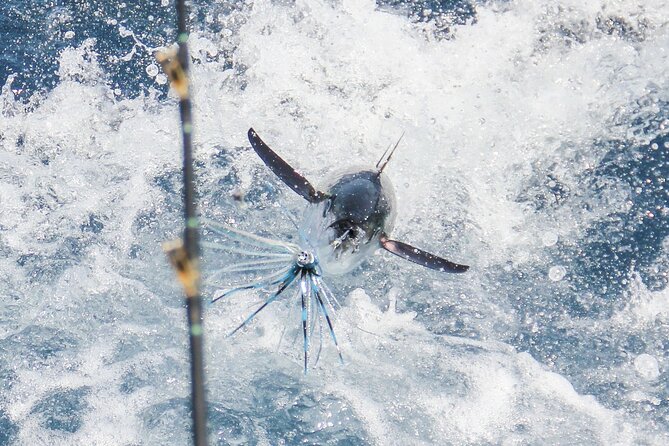 8 Hours Private Sport Fishing Charter Trip in Cabo San Lucas - El Arco, Cabo’s famous rock landmark