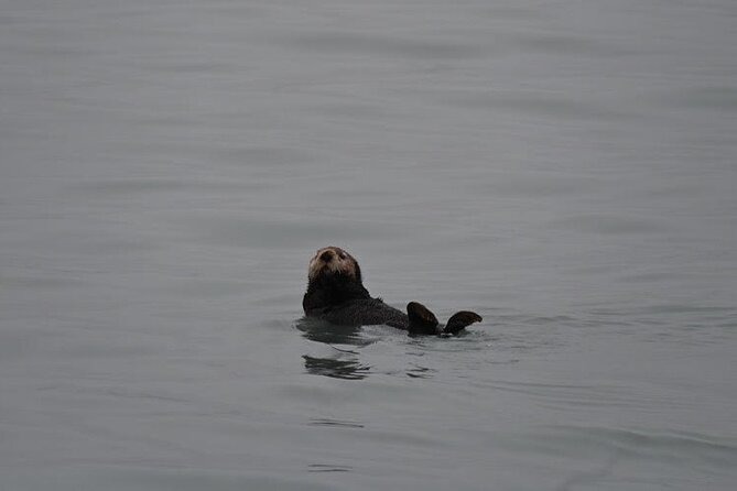 8hr Kenai Fjords Whale Watching Tour w/ 1hr Fishing 16 Passengers - Who will enjoy this trip most?
