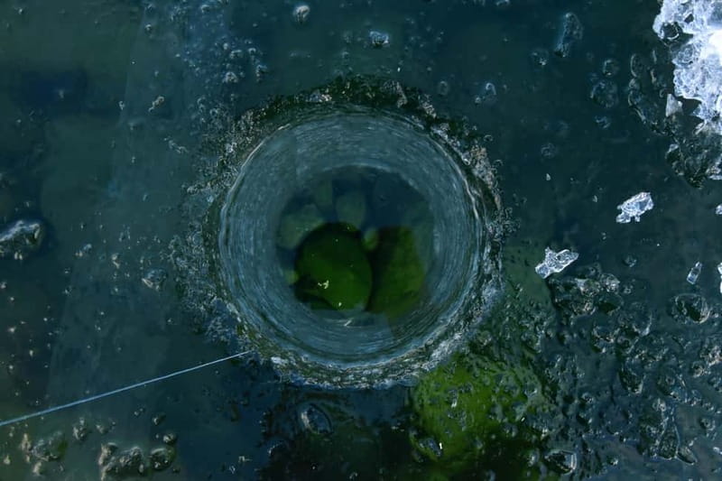 Abisko: Ice Fishing Experience - The Fish You Might Catch Around Abisko