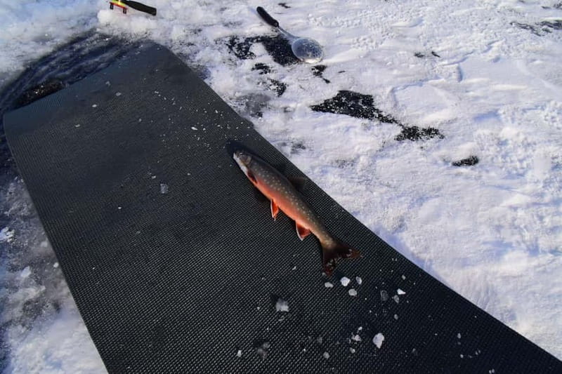 Abisko: Ice Fishing Experience - The Fishing License Is an Extra Cost
