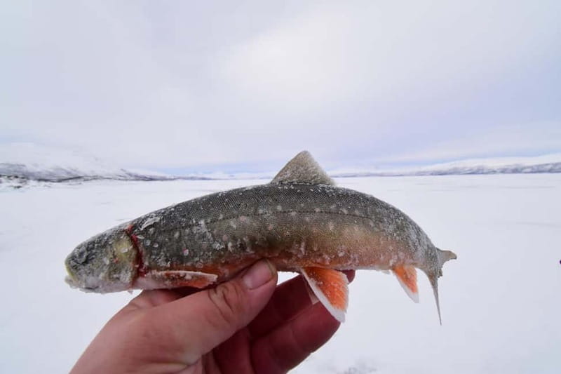 Abisko: Ice Fishing Experience - Two Hours Is Short, but Well Suited to the Cold