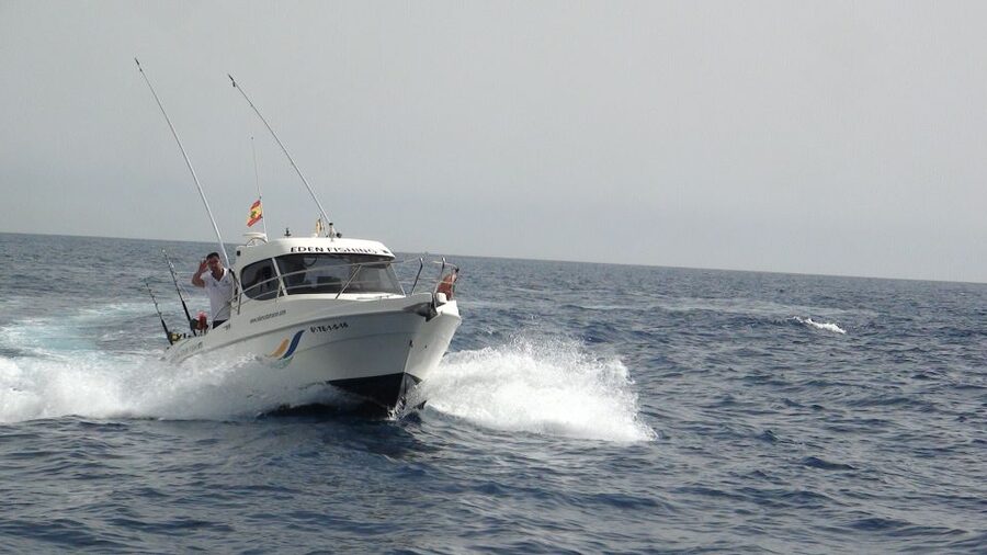 Adeje: 3.5–Hour Professional Fishing Experience - Choosing between marlin, tuna, and bottom fishing