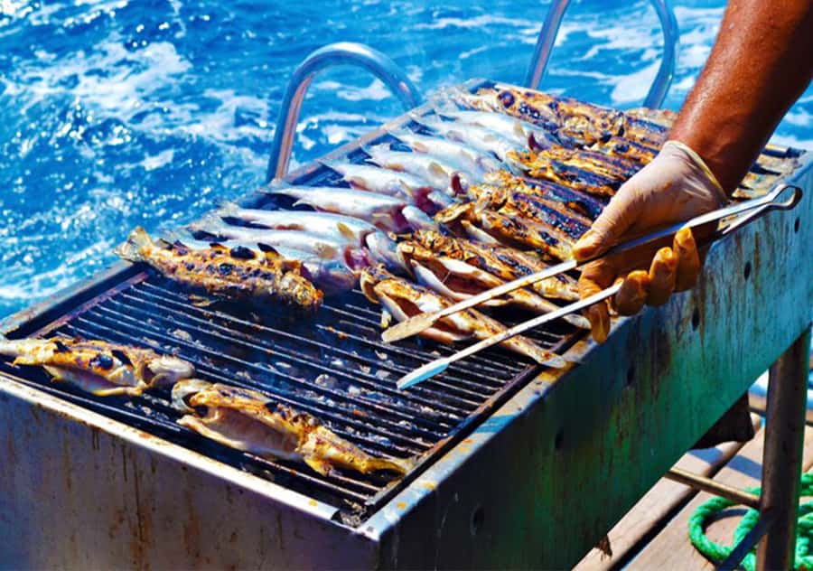 Agadir: Boat Trip with Fishing, Swimming, and BBQ Lunch - Is $56 Good Value?
