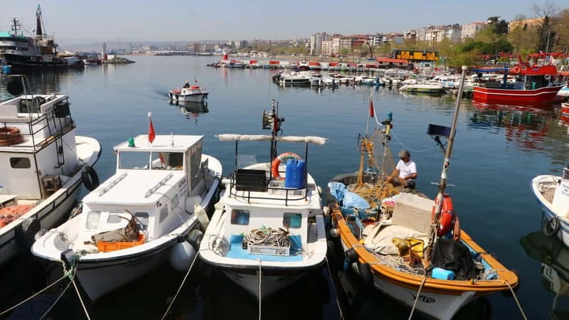 Alanya: Fishing Tour with Lunch and Hotel Transfers - Key points to know before booking