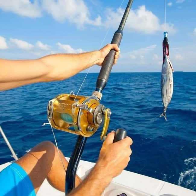 Alanya: Fishing Tour with Lunch and Hotel Transfers - Communication, group feel, and comfort