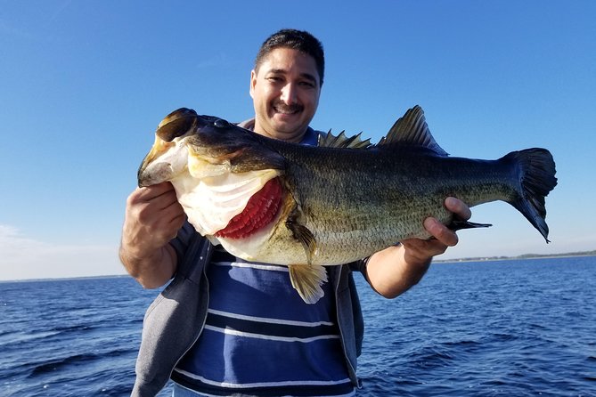 All Day Lake Toho Fishing Trip near Kissimmee - How the fishing portion works