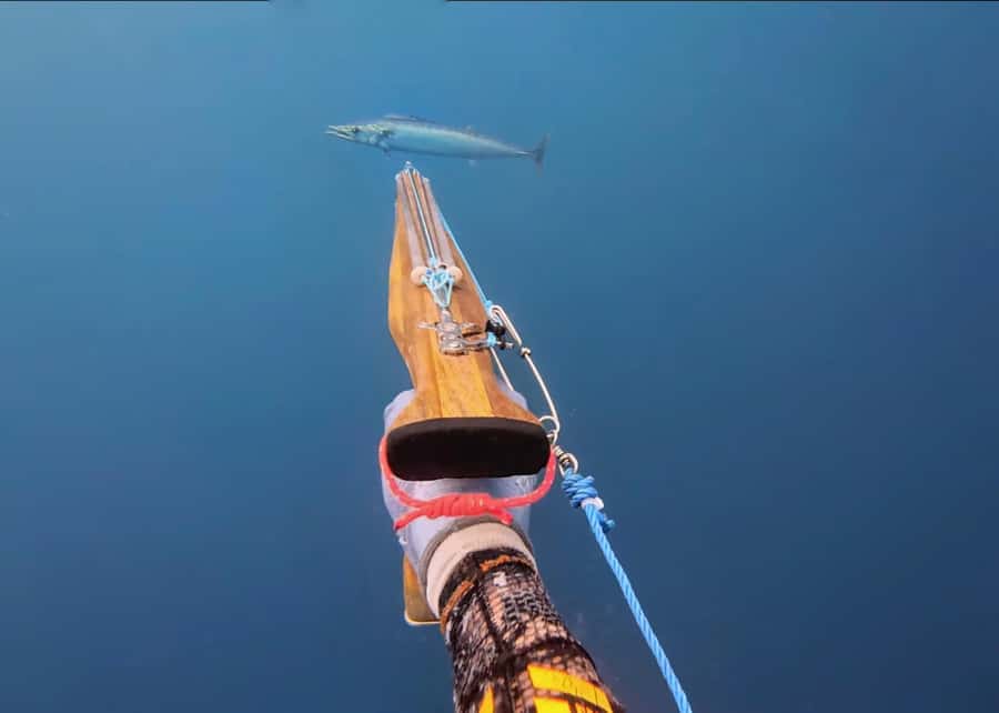 Amed: Spearfishing, Freediving and Catch & Cook Adventure - Key points before you book